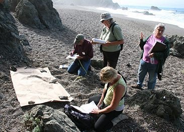 Did you Know The National Marine Sanctuary Needs Volunteers - Rivieratowel