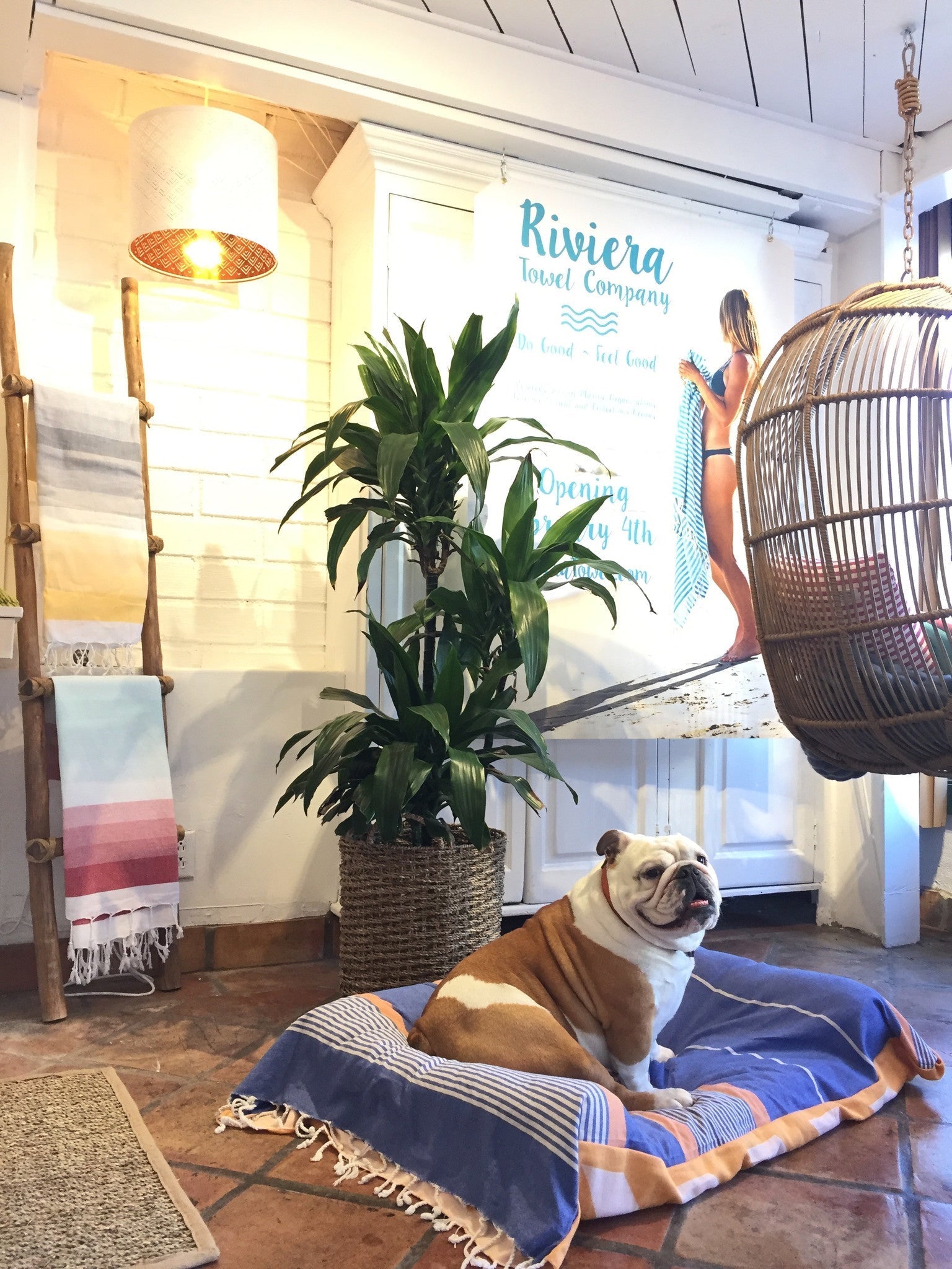 DIY Stylish Dog Bed Cover from Recycled Turkish Towels - Rivieratowel