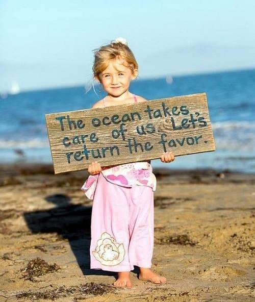 Giving Tuesday - Help Support These World Class Marine Organizations - Rivieratowel