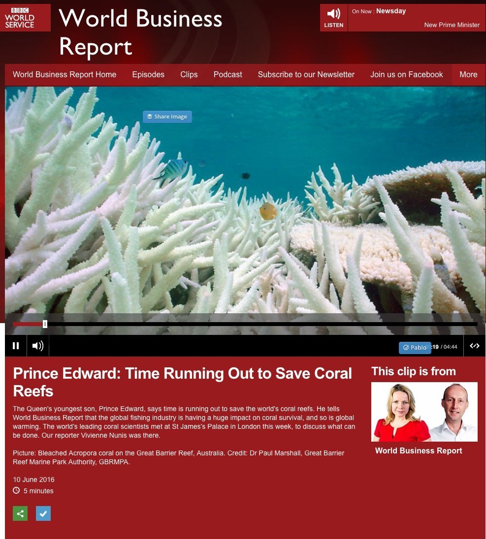 Time is Running Out to Save Coral Reefs - Rivieratowel