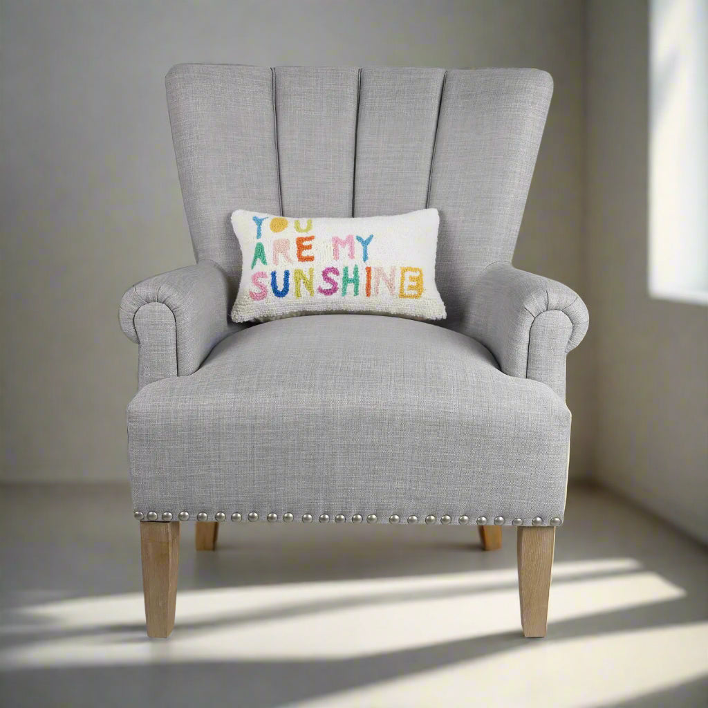 You Are My Sunshine Hook Pillow