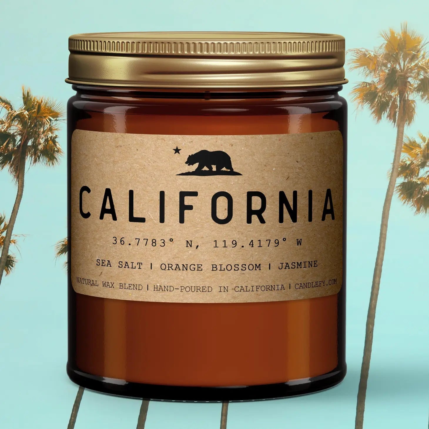 CA/SB/PO 8oz Candle - Rivieratowel