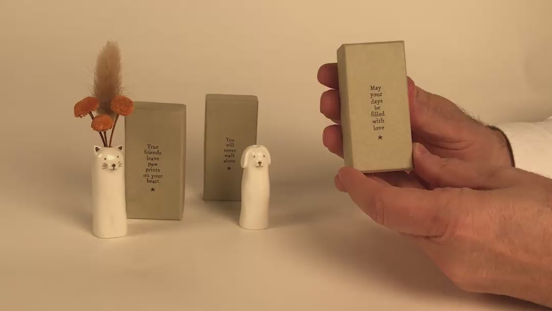 Load video: Animal Vase / Box