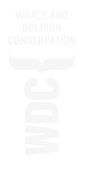 Rivieratowel